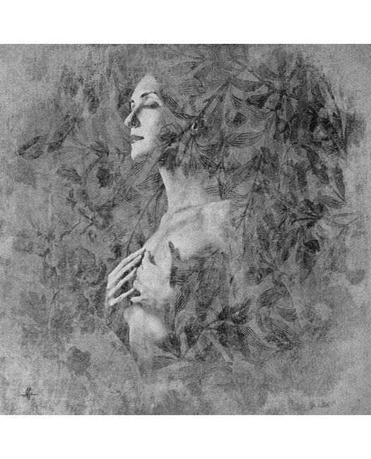 RELIEF